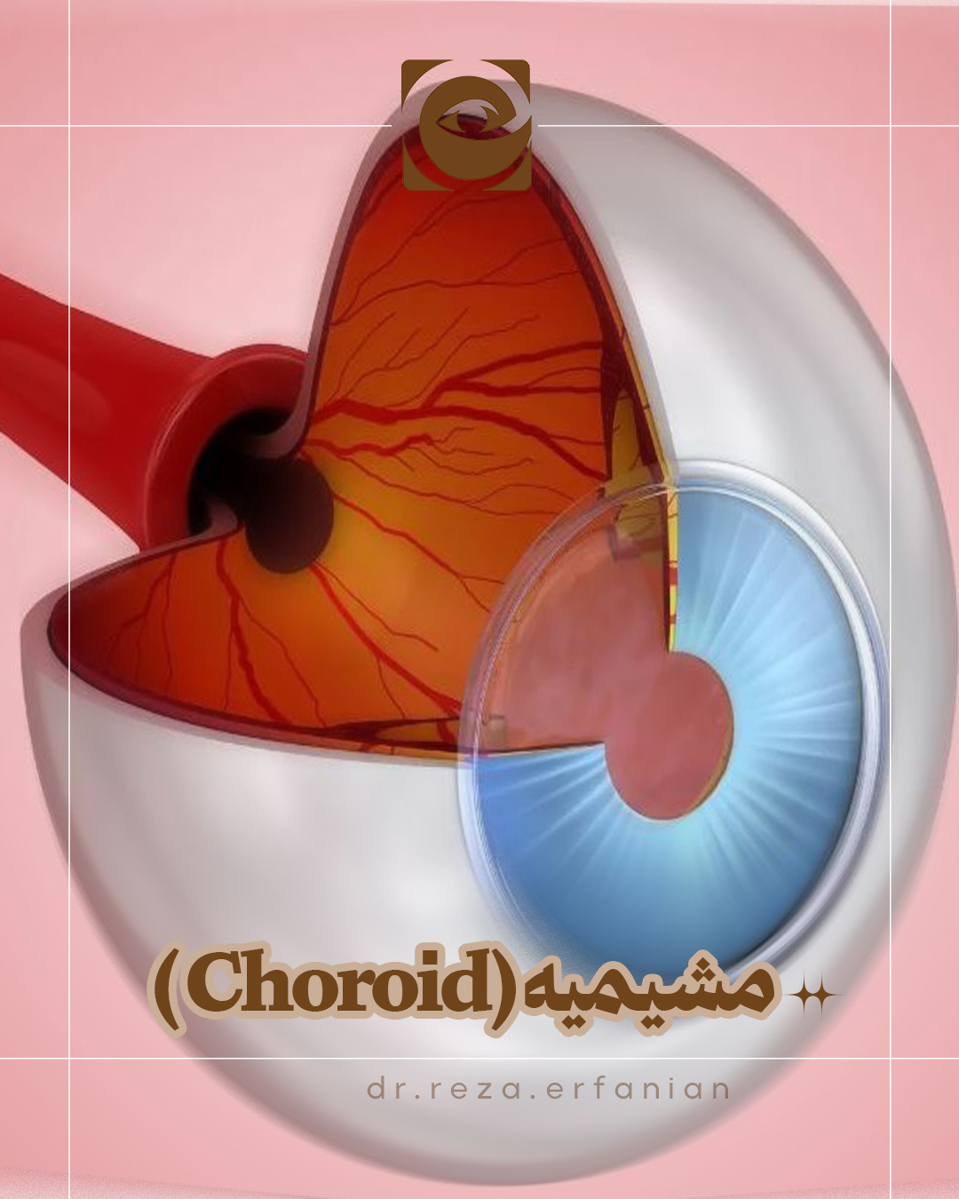 مشیمیه