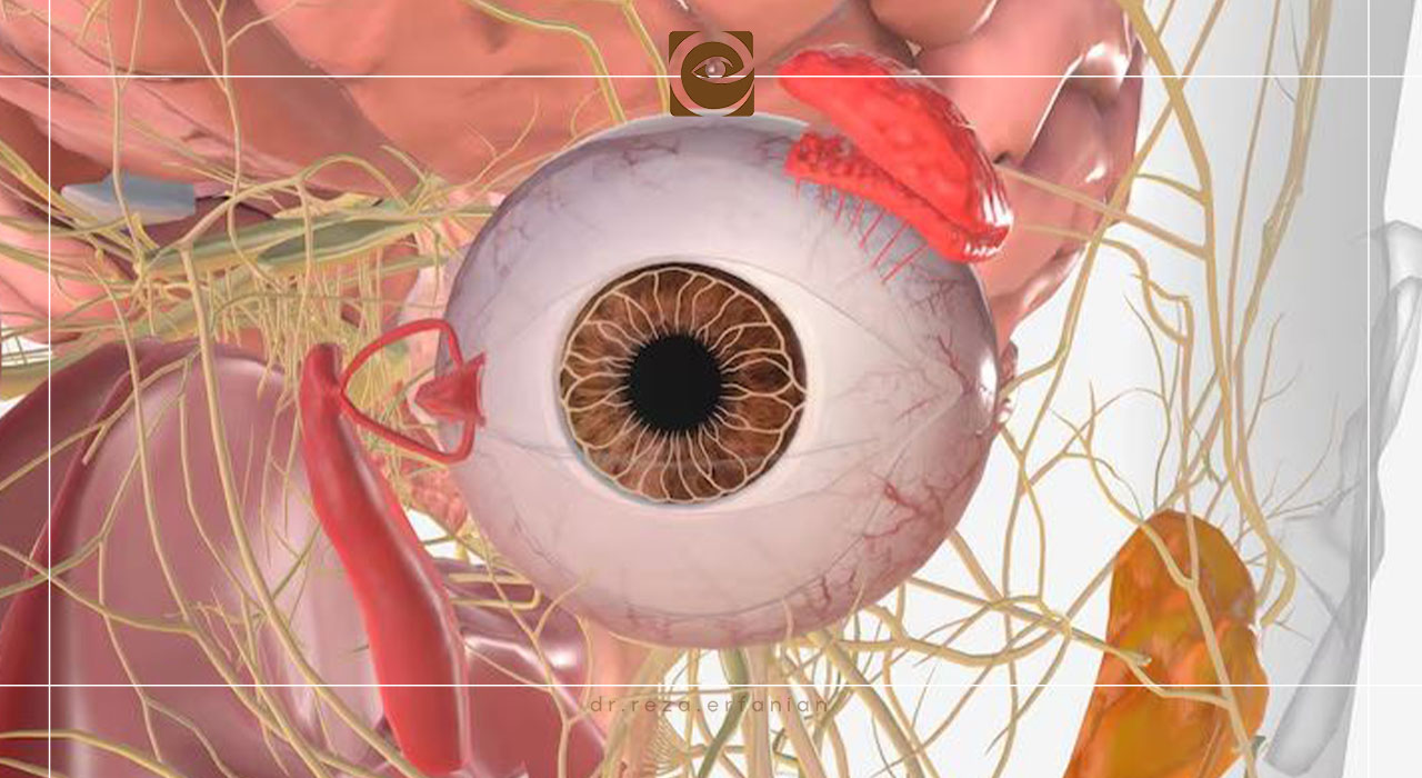 فوتوترانسداکشن چگونه رخ میدهد