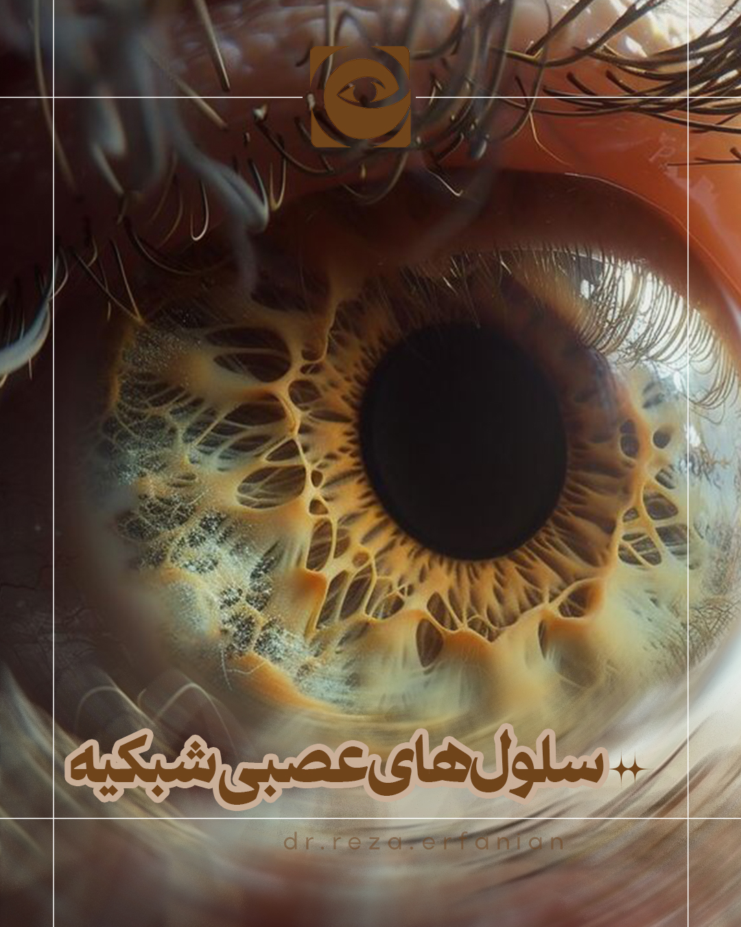 سلول‌های عصبی شبکیه